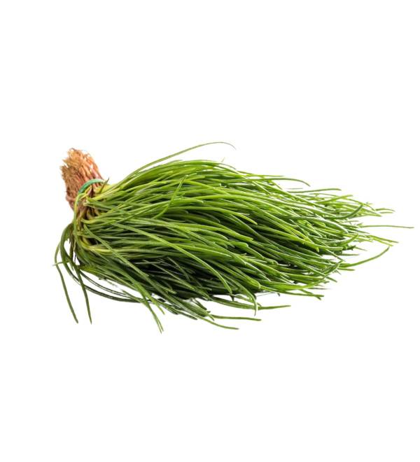 Agretti