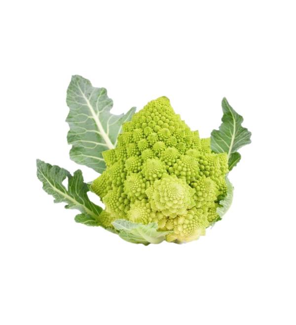Broccolo Romanesco