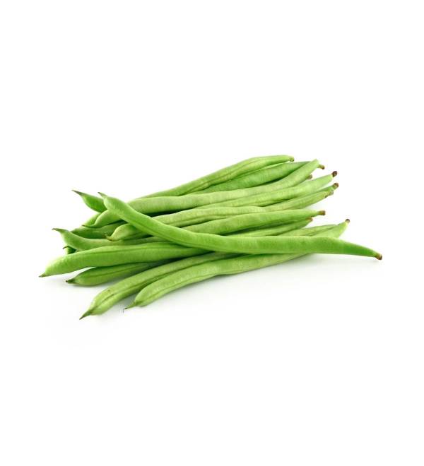 Fagioli Boby Verdi