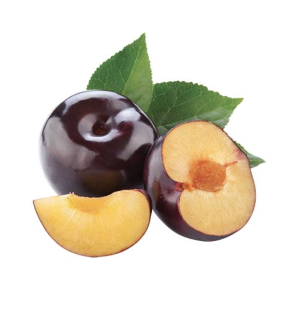 Susina Nera