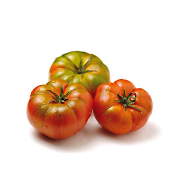 Pomodoro Costoluto