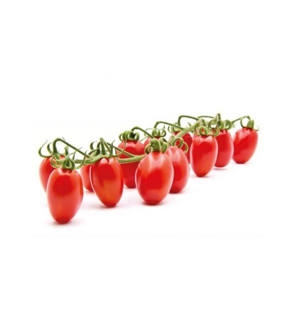 Pomodoro Datterino