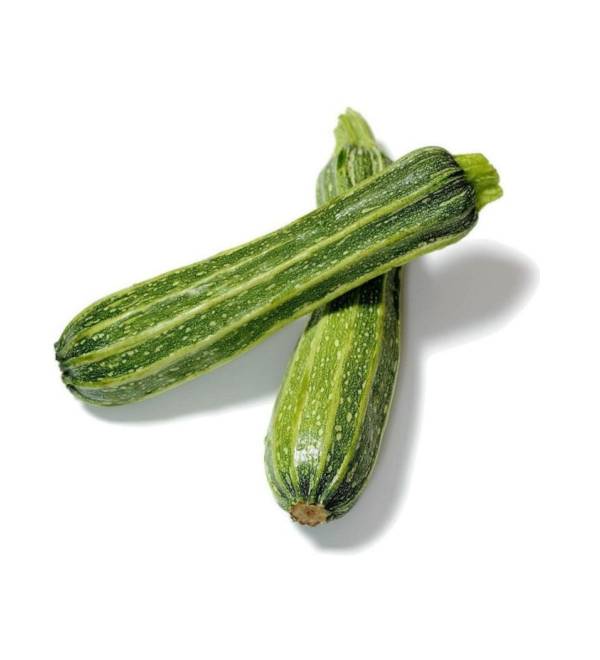 Zucchina Romanesca