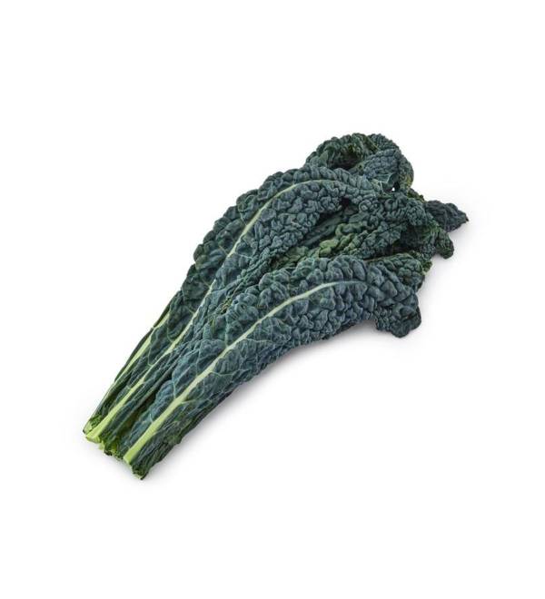 Cavolo nero