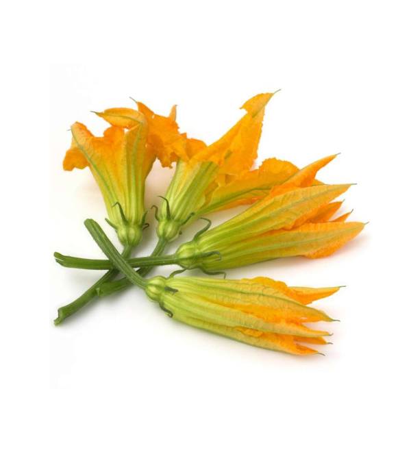 Fior di Zucca